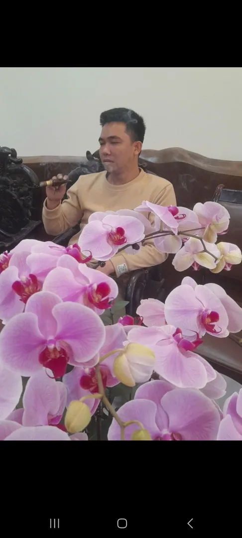 bùi văn thiêm 29 tuổi Độc thân Khu vực Hà Nội