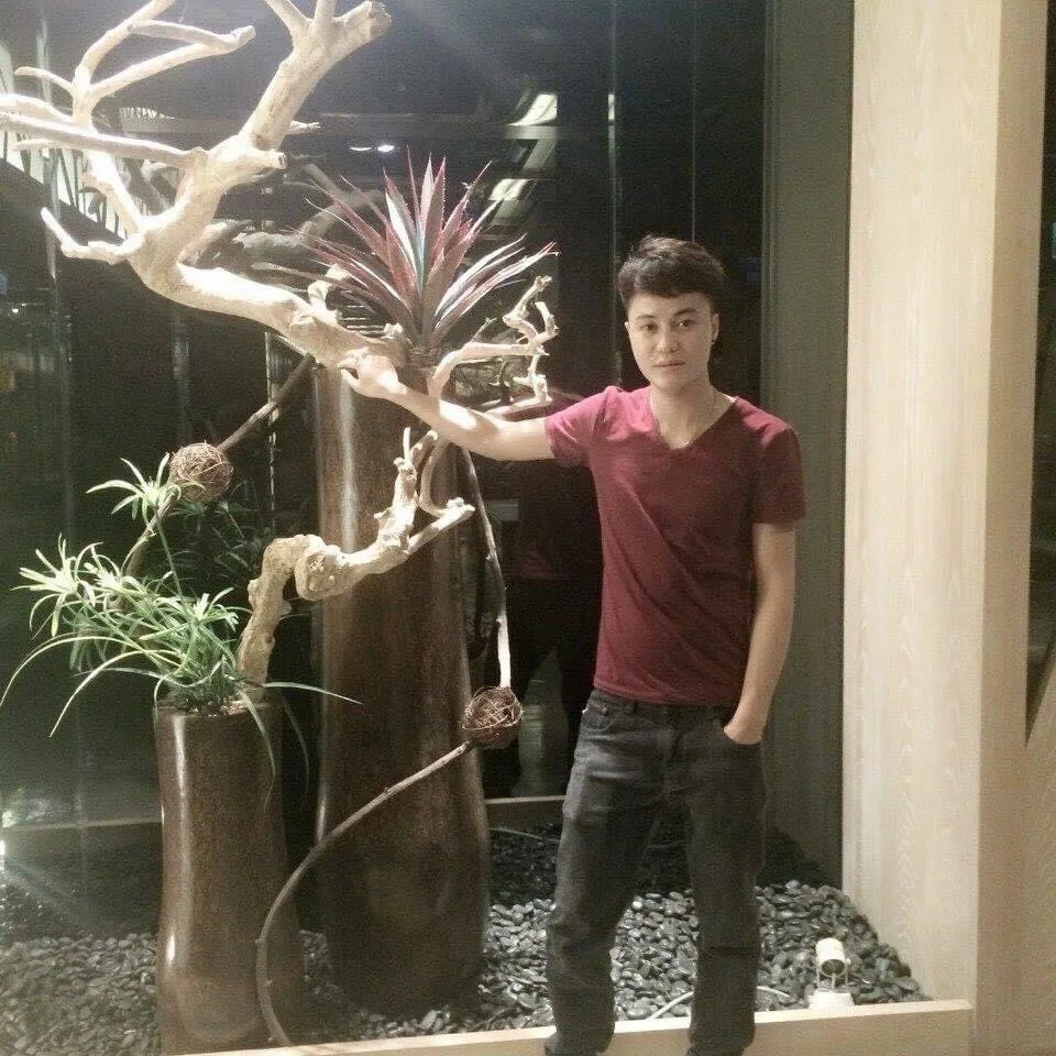 Tran tuân anh 35 tuổi Đã ly hôn Khu vực Hải Phòng