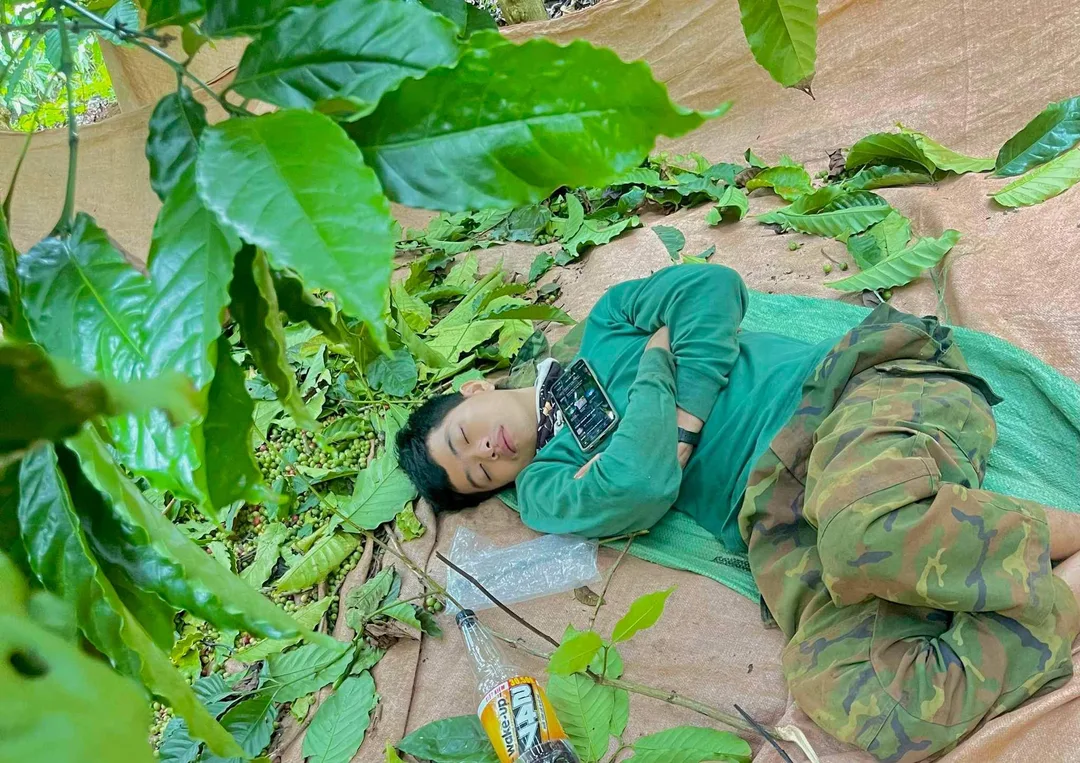 le đình vũ 24 tuổi Độc thân Tìm người yêu Khu vực Quảng Nam